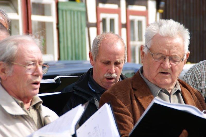 Maibaum in Obergebra gesetzt