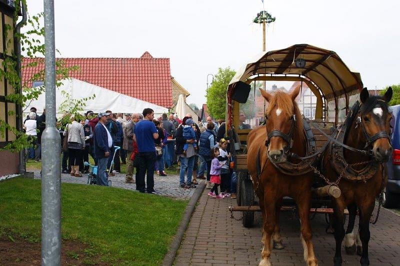 Maibaum in Obergebra gesetzt