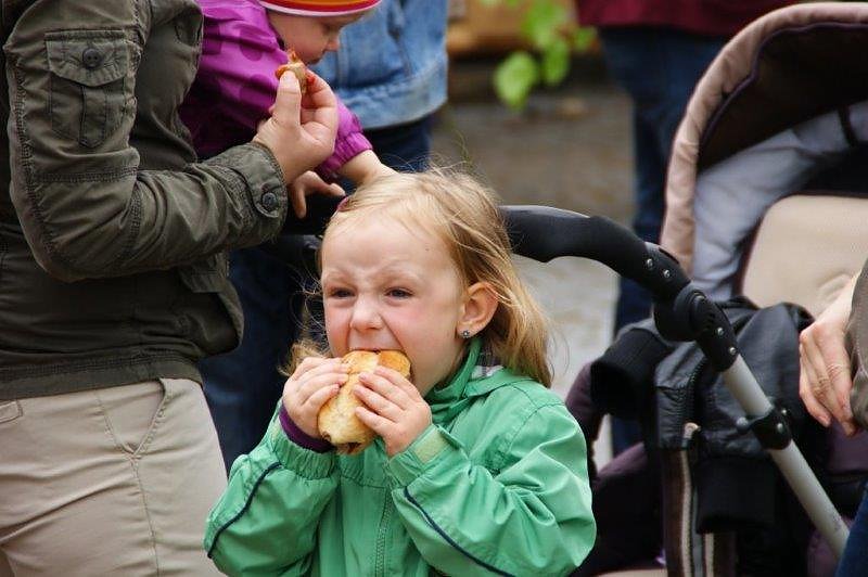 Maibaum in Obergebra gesetzt