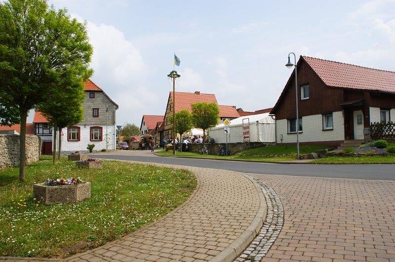 Maibaum in Obergebra gesetzt