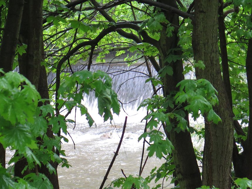 Wasser im Teich und im Park