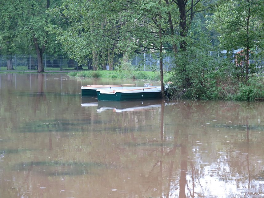 Wasser im Teich und im Park