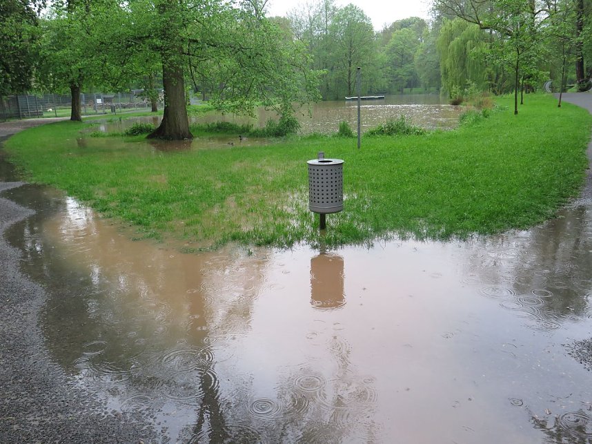 Wasser im Teich und im Park