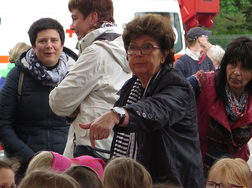 Autofr&uuml;hling 2014