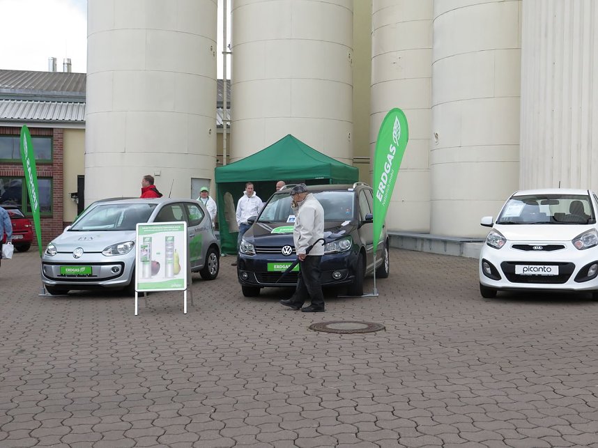 Autofr&uuml;hling 2014