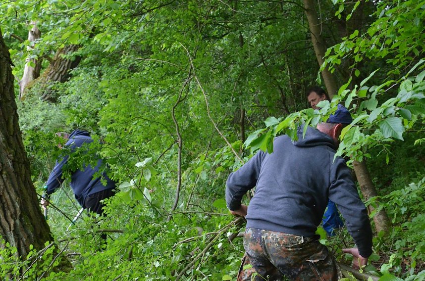 Fr&uuml;hjahrsputz am R&ouml;dersee