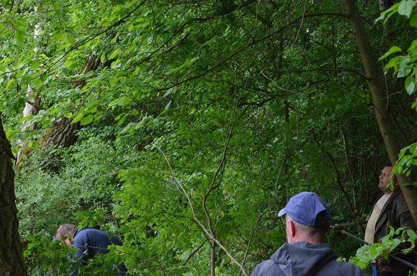 Fr&uuml;hjahrsputz am R&ouml;dersee