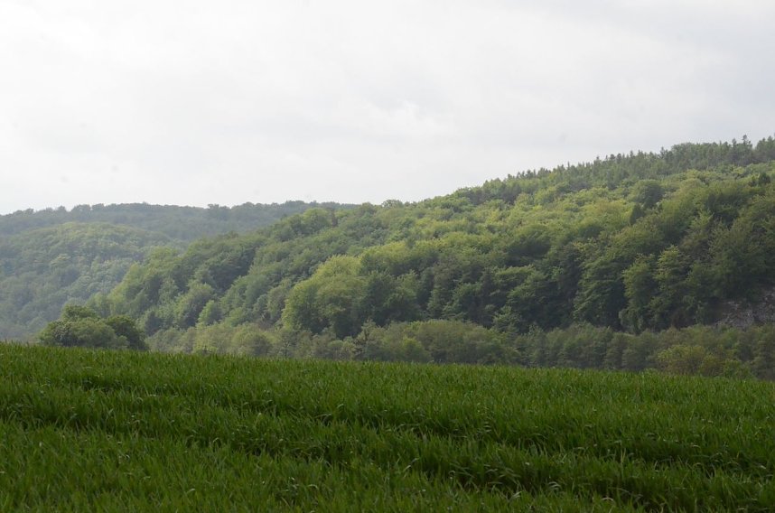 Fr&uuml;hjahrsputz am R&ouml;dersee