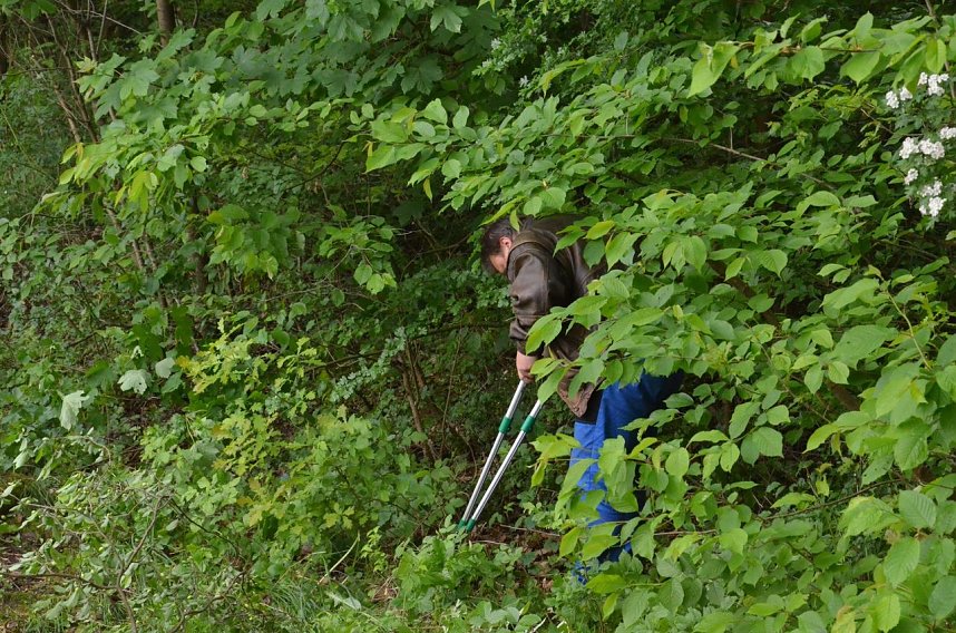 Fr&uuml;hjahrsputz am R&ouml;dersee
