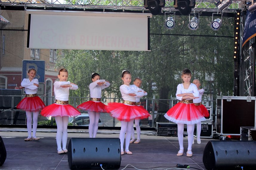 Die Eleven des Tanzstudio Radeva