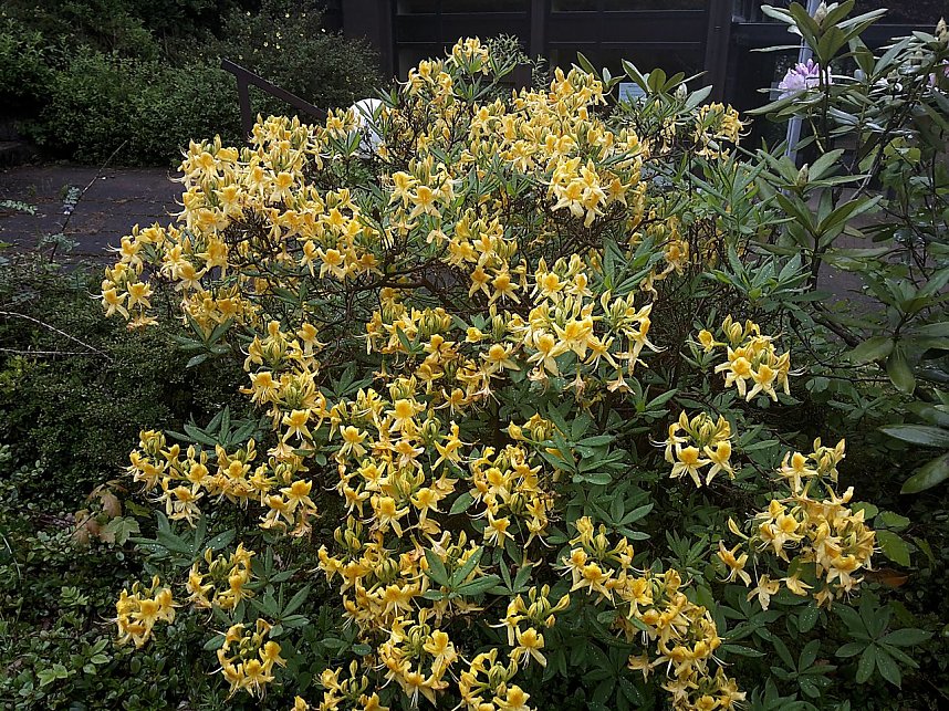 Unterwegs in Bad Sachsa