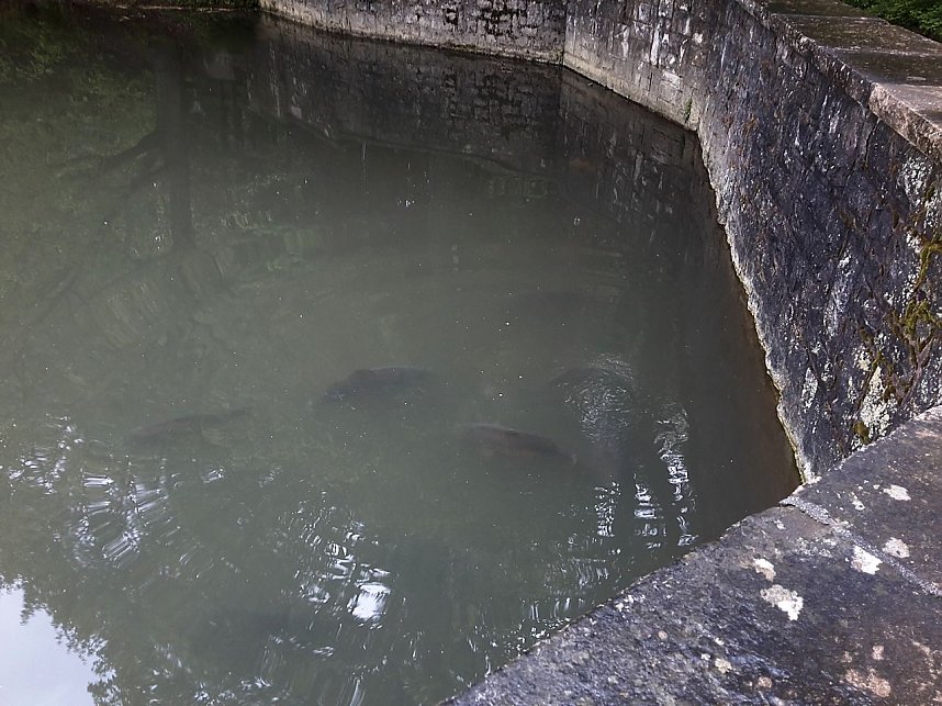 Unterwegs in Bad Sachsa