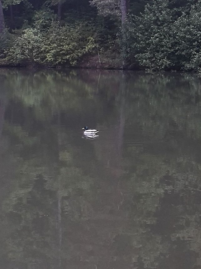 Unterwegs in Bad Sachsa