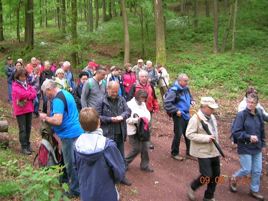 Neunter S&uuml;dharzer Fitnesstag