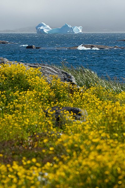 Fotovortrag Gr&ouml;nland