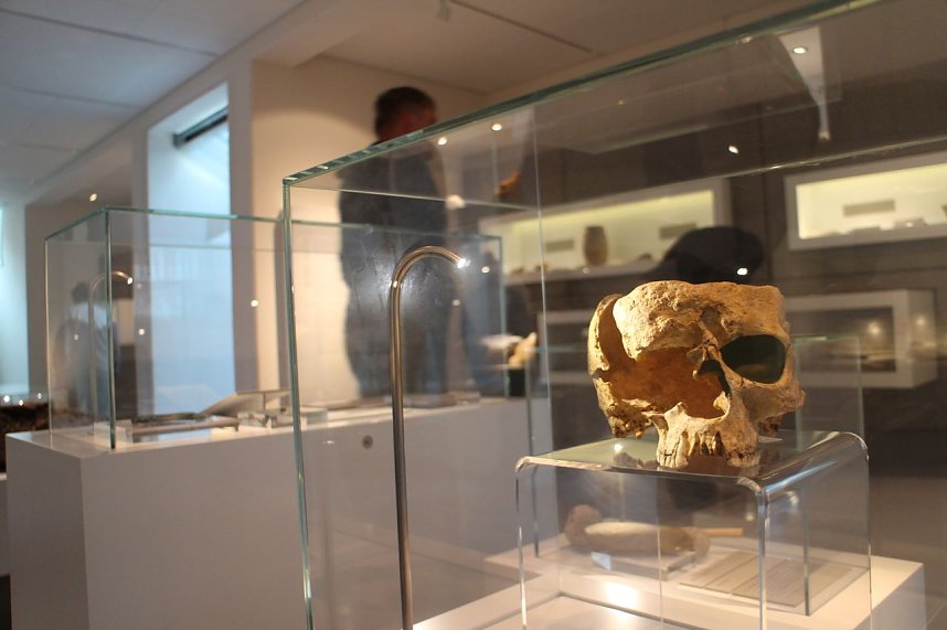 Museumstag in der Flohburg