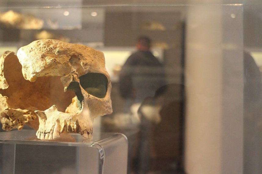 Museumstag in der Flohburg