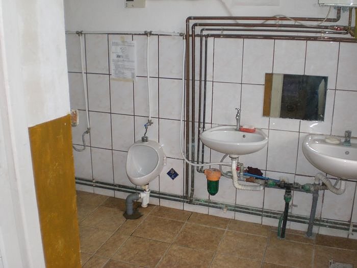 Freunde bei Freunden in Rum&auml;nien