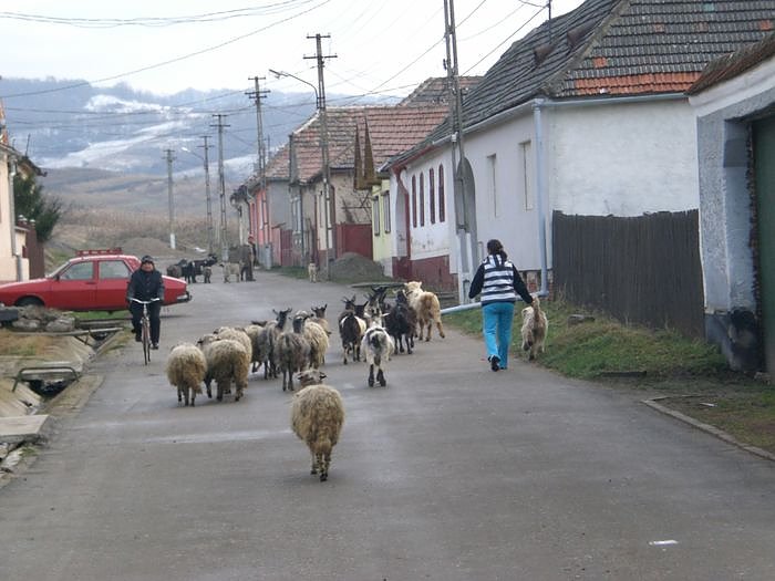 Freunde bei Freunden in Rum&auml;nien