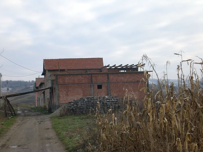 Freunde bei Freunden in Rum&auml;nien
