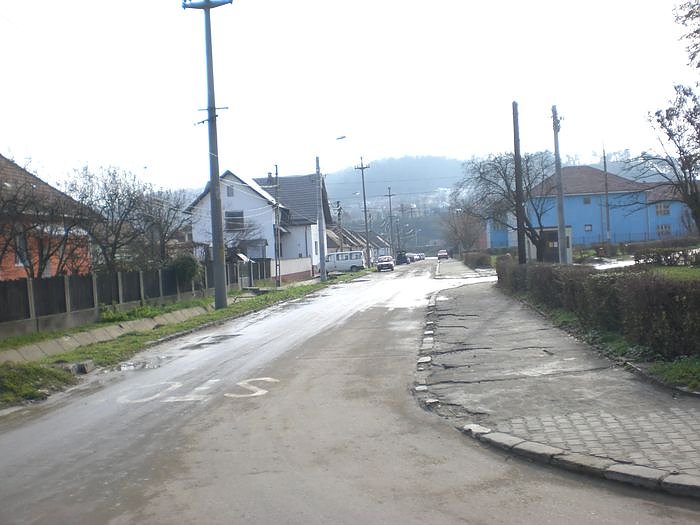 Freunde bei Freunden in Rum&auml;nien