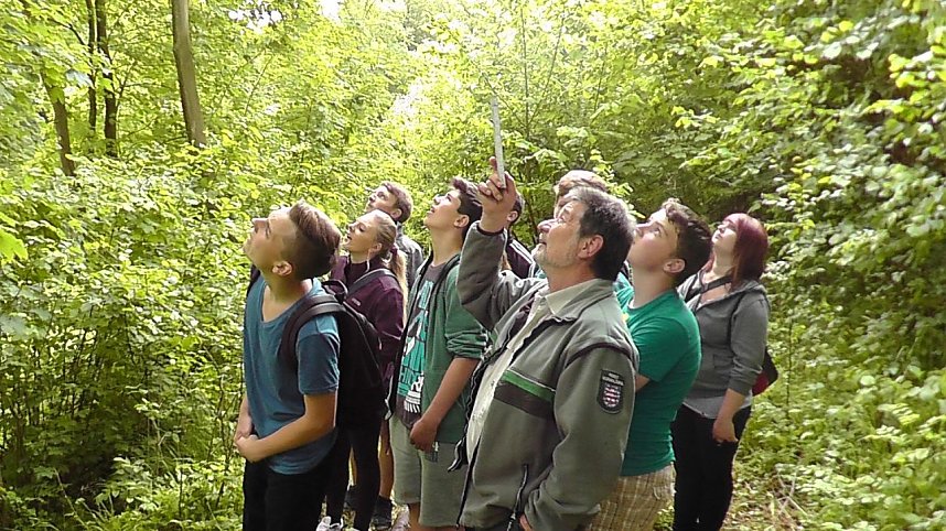 Dritte Waldjugendrallye