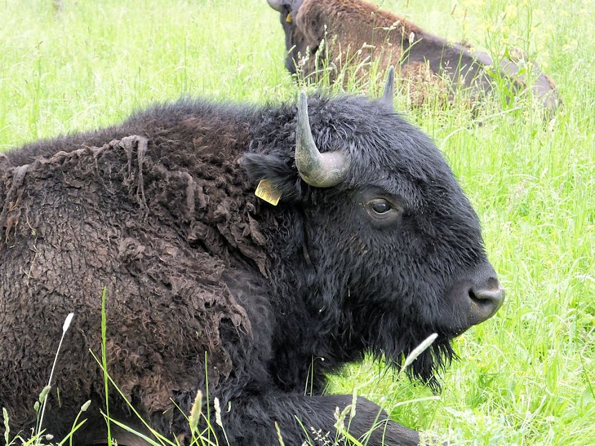 Zum Vatertag unterwegs