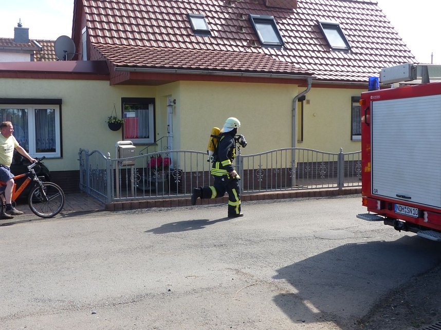 Feuer in der Vogelsiedlung