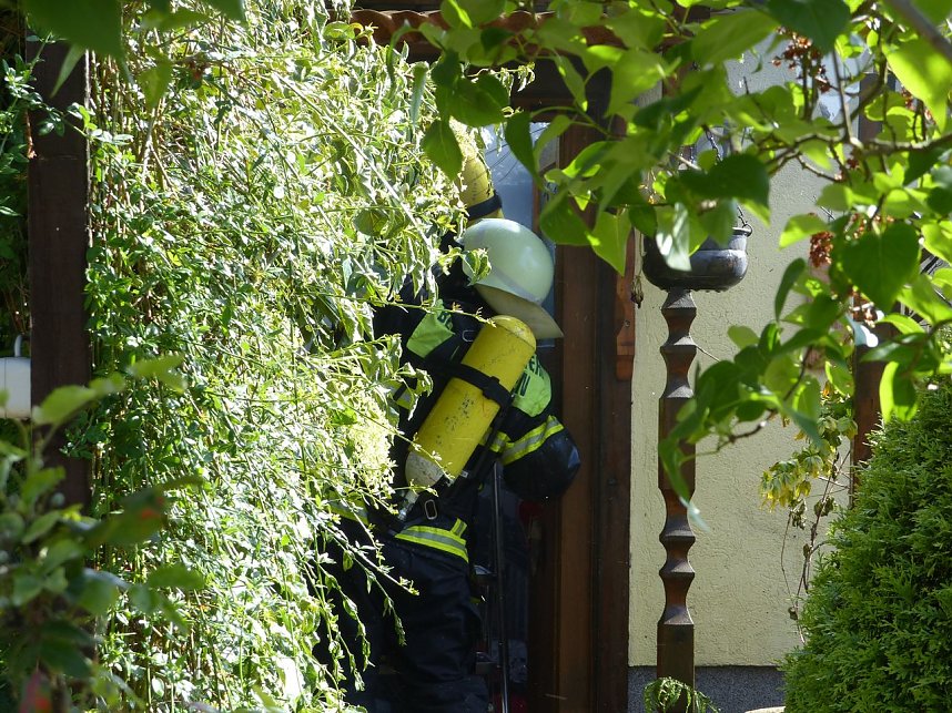 Feuer in der Vogelsiedlung