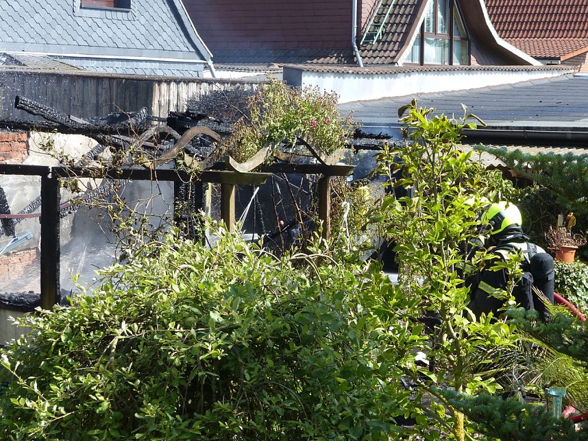 Feuer in der Vogelsiedlung