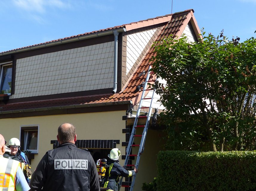 Feuer in der Vogelsiedlung