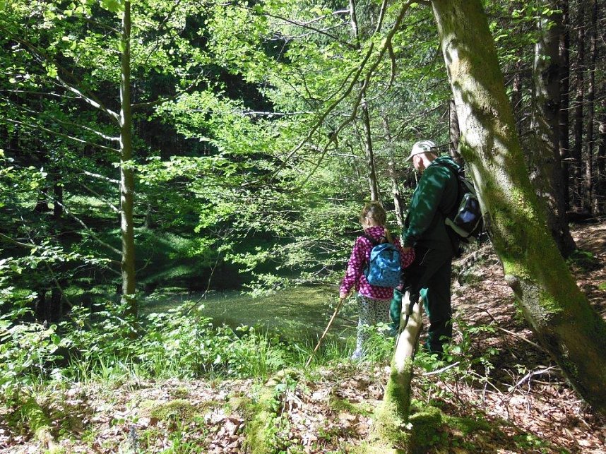 Unterwegs im S&uuml;dharz