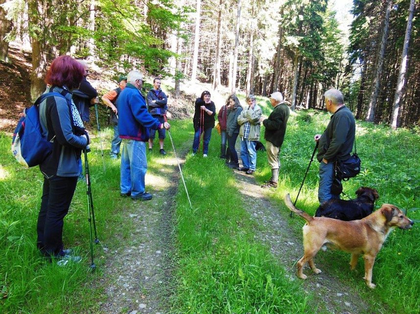 Unterwegs im S&uuml;dharz