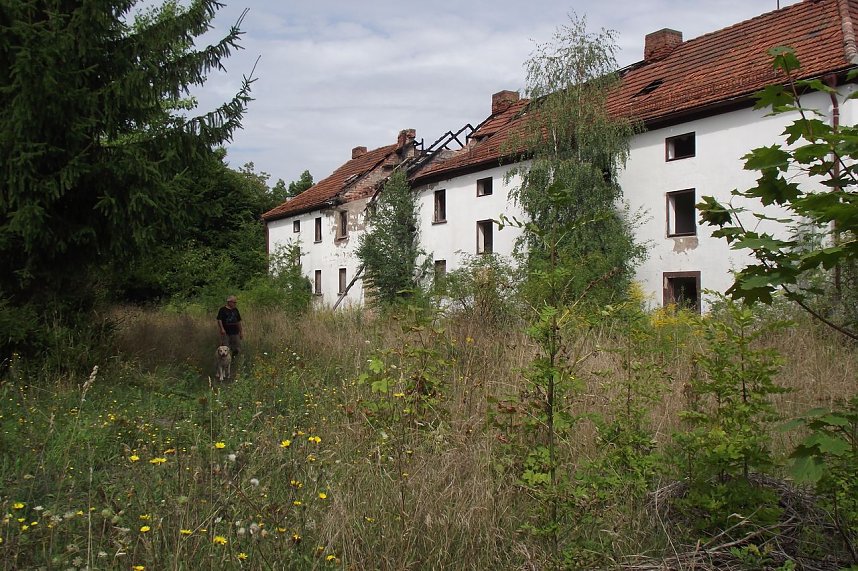 Wildnis pur. Eine ideale Kulisse f&uuml;r einen Film, in dem eine R&auml;uberbande�ihr�Unwesen treibt. Einst wohnten in der kleinen Wohnsiedlung Familien mit�ihren Kindern.