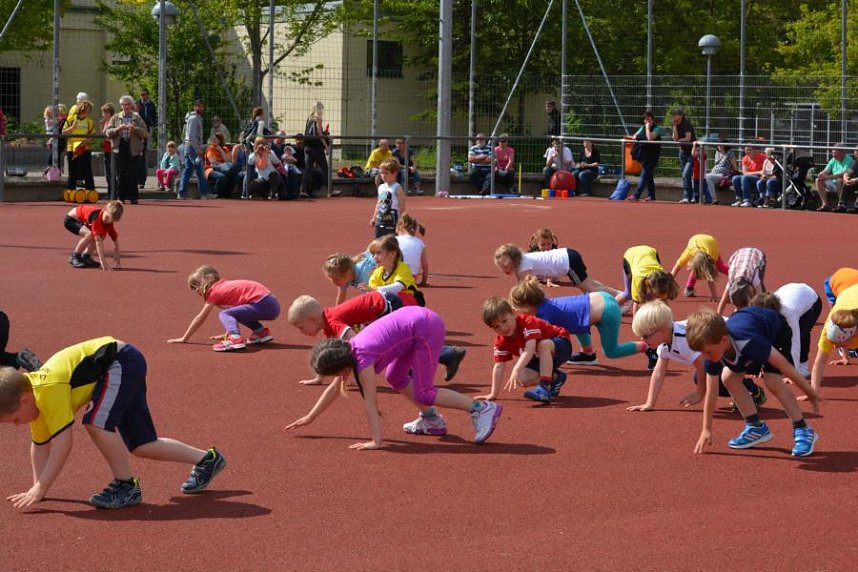 Nachwuchs zeigte sein K&ouml;nnen