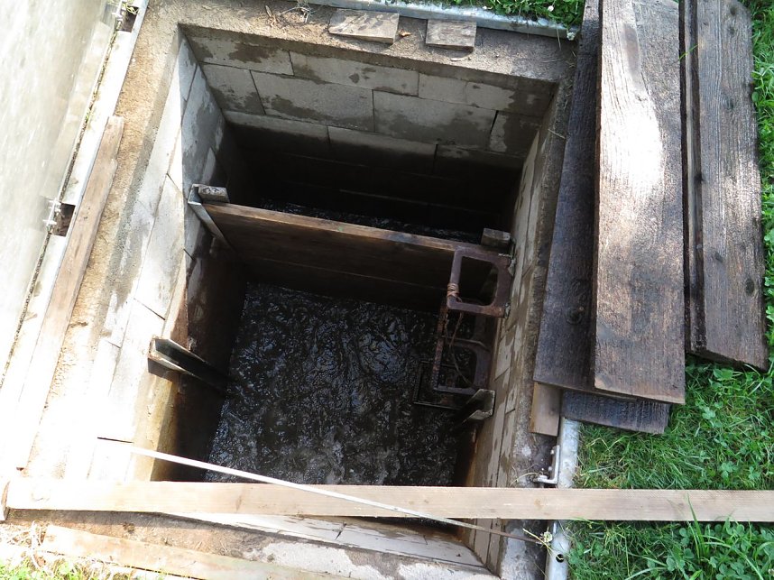 Kampf dem Krause Laichkraut