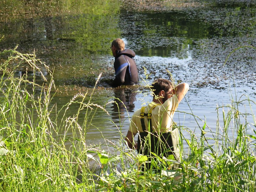 Kampf dem Krause Laichkraut