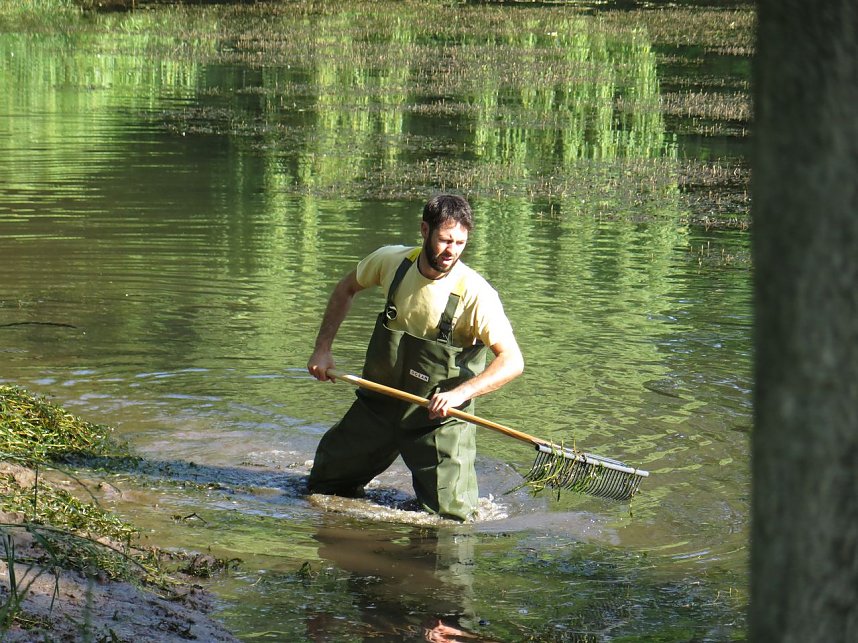 Kampf dem Krause Laichkraut