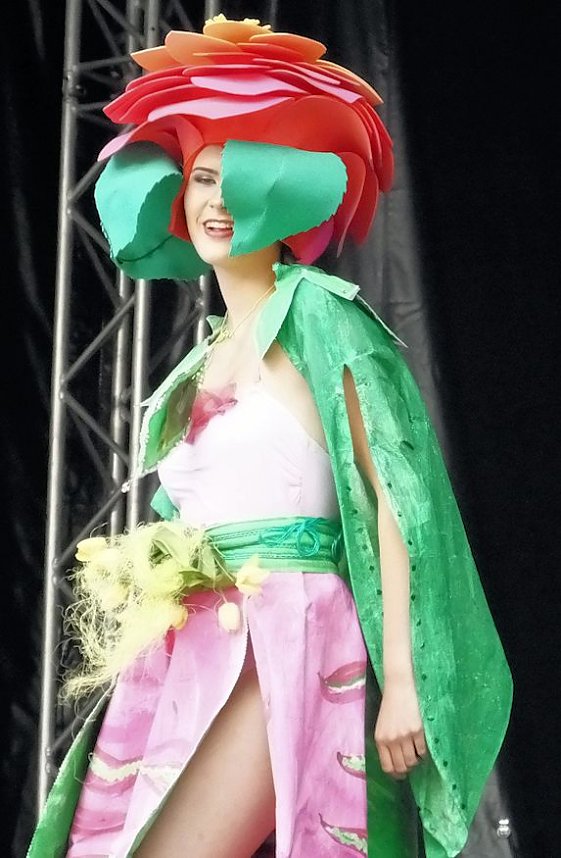 Flower Power beim Rolandsfest