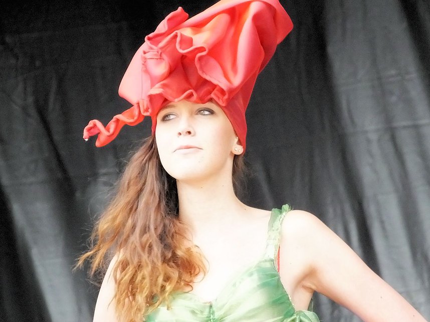 Flower Power beim Rolandsfest