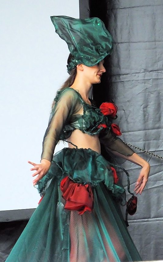 Flower Power beim Rolandsfest