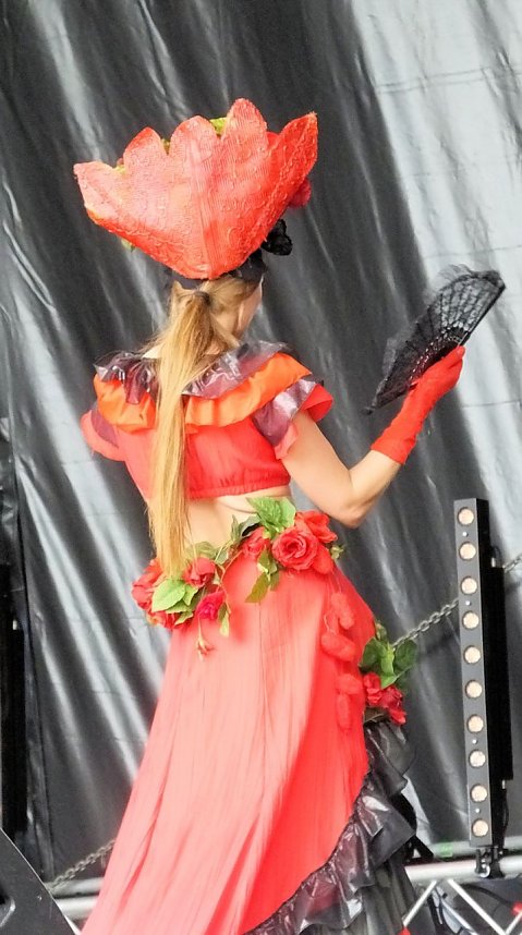 Flower Power beim Rolandsfest