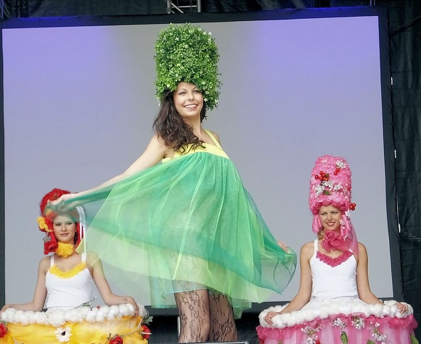 Flower Power beim Rolandsfest