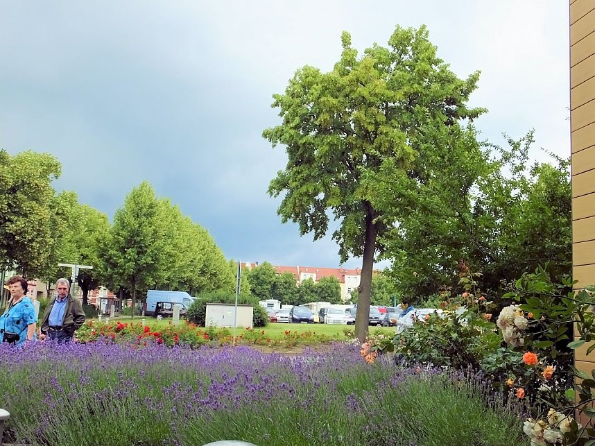 Rolandsfest 2014 - Der Samstag