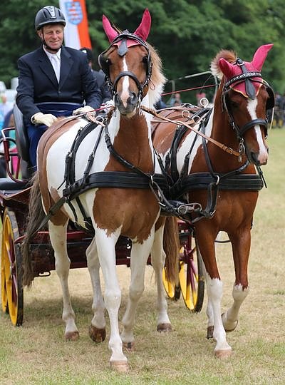 Ponyfest in W&uuml;lfingerode