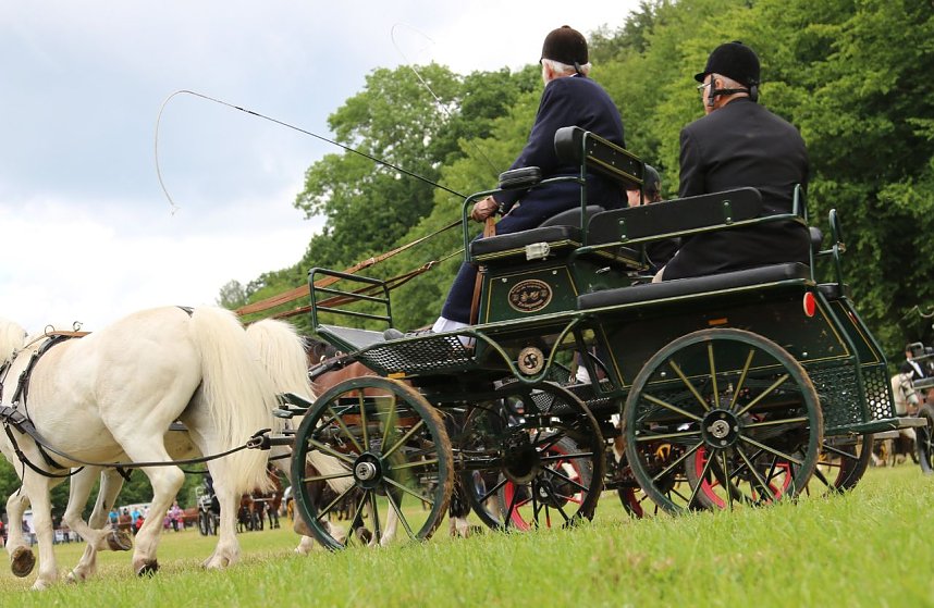 Ponyfest in W&uuml;lfingerode