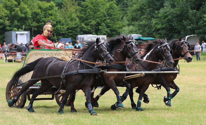 Ponyfest in W&uuml;lfingerode