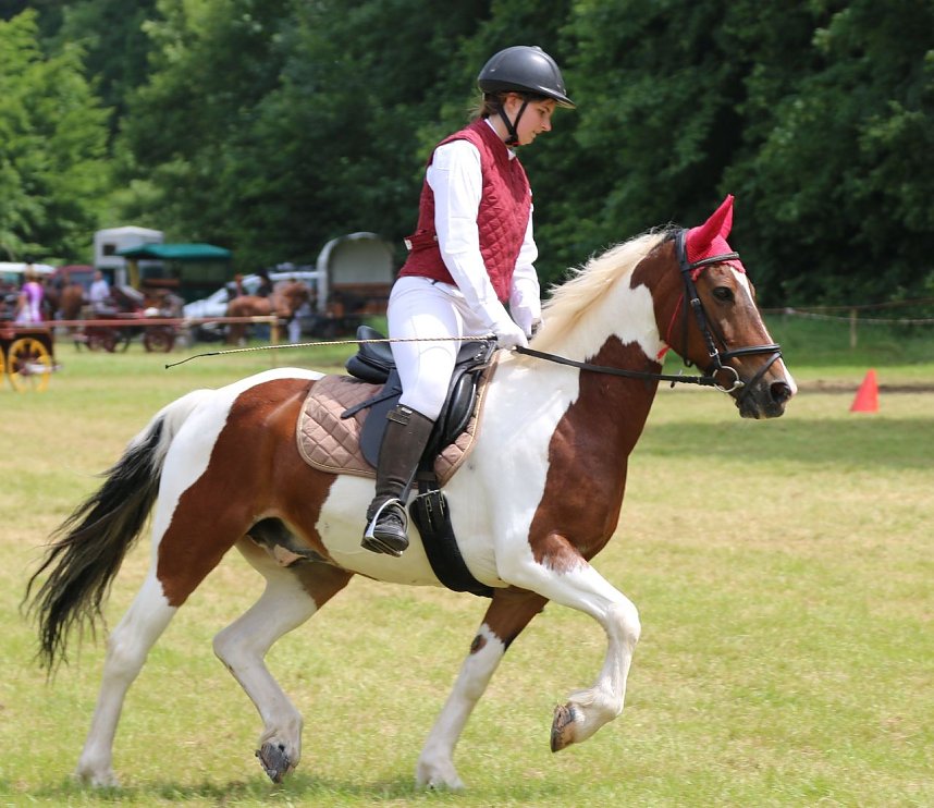 Ponyfest in W&uuml;lfingerode