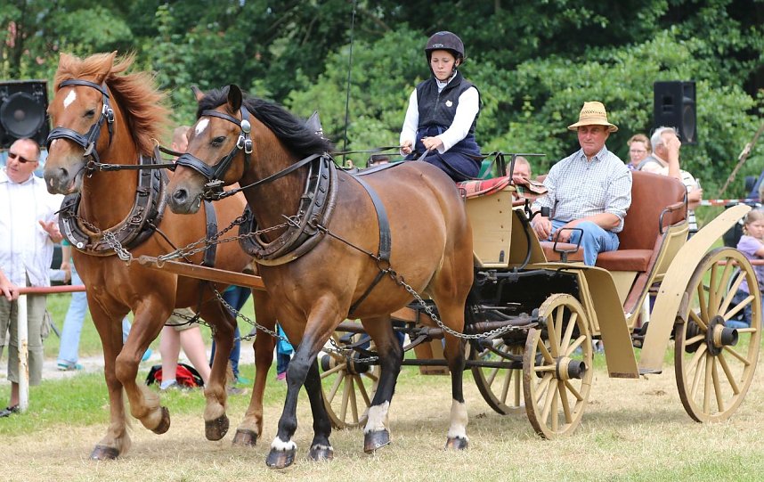 Ponyfest in W&uuml;lfingerode