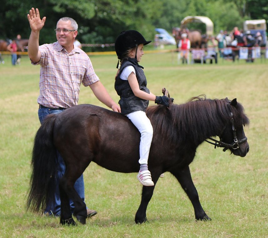 Ponyfest in W&uuml;lfingerode